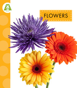 Flowers by Ana Brauer, 9798896856962