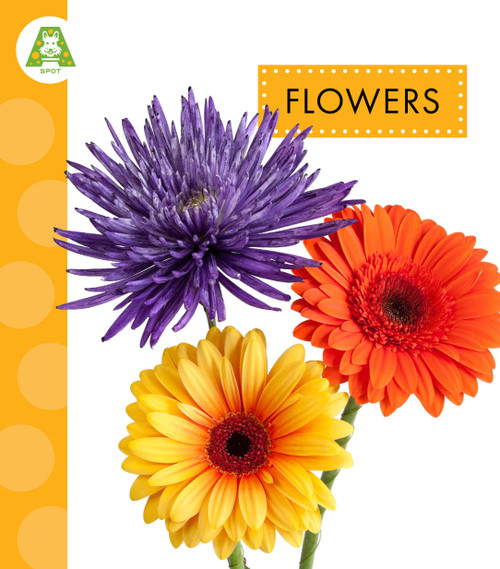 Flowers by Ana Brauer, 9798896856962
