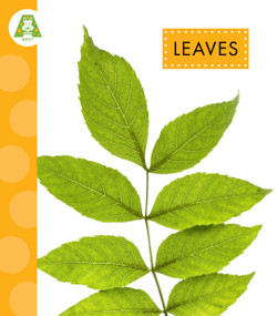 Leaves by Ana Brauer, 9798896856986