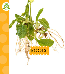 Roots by Ana Brauer, 9798896856993