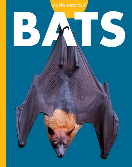 Curious about Bats by Mary Bleckwehl, 9798896857082