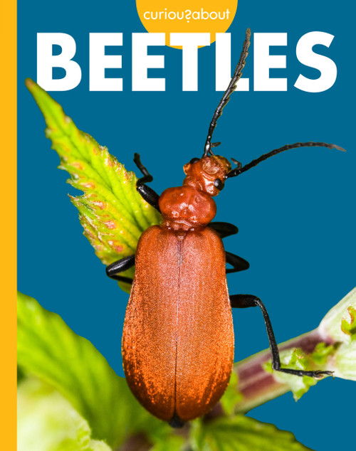 Curious about Beetles by Deirdre A. Prischmann, 9798896857099