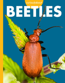 Curious about Beetles by Deirdre A. Prischmann, 9798896857099