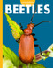 Curious about Beetles by Deirdre A. Prischmann, 9798896857099
