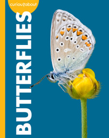 Curious about Butterflies by Deirdre A. Prischmann, 9798896857105
