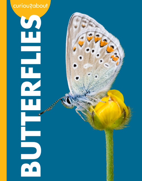 Curious about Butterflies by Deirdre A. Prischmann, 9798896857105