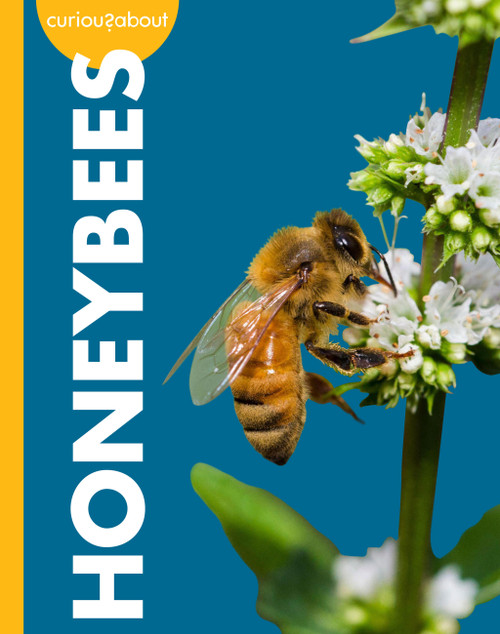 Curious about Honeybees by Deirdre A. Prischmann, 9798896857112
