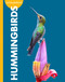 Curious about Hummingbirds by Mary Bleckwehl, 9798896857129