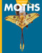 Curious about Moths by Deirdre A. Prischmann, 9798896857136