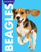 Curious about Beagles by Rachel Grack, 9798896857204