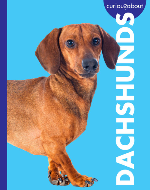 Curious about Dachshunds by Rachel Grack, 9798896857211