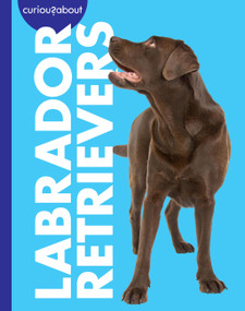 Curious about Labrador Retrievers by Rachel Grack, 9798896857259