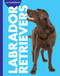 Curious about Labrador Retrievers by Rachel Grack, 9798896857259