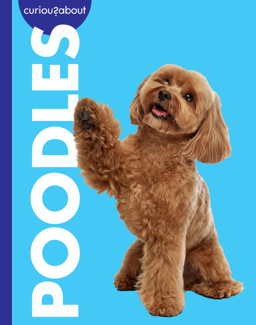 Curious about Poodles by Rachel Grack, 9798896857266