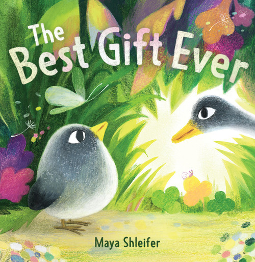 The Best Gift Ever by Maya Shleifer, 9780316585903