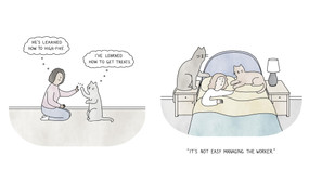 How to Be Super Annoying and Cute (The Evolution of Cats in More Than 150 Cartoons) by Amy Hwang, 9781454966739