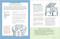 The Thrifty Chicken Keeper (Creative and Budget-Friendly Ideas for Raising a Happy, Healthy Flock) by Dalia Monterroso, 9781635869453