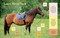 Horses (Learn About the Amazing Lives of Our Beautiful Equine Friends) by Editors of Storey Publishing, 9781635869682