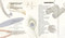 Everything You Know About Birds is Wrong! by Gavin Scott, Dr Nick Crumpton, 9798887773155