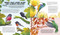 Everything You Know About Birds is Wrong! by Gavin Scott, Dr Nick Crumpton, 9798887773155