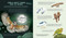 Everything You Know About Birds is Wrong! by Gavin Scott, Dr Nick Crumpton, 9798887773155