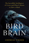 Bird Brain (The Incredible Intelligence of Crows and What It Means to Have a Mind) by Andreas Nieder, 9798217180424