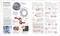 The Human Body Book (A Visual Guide to Structure and Function) by DK, 9798217315772