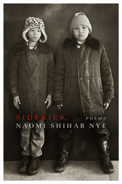 Sidekick by Naomi Shihab Nye, 9781968507114