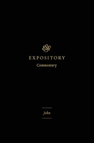 John by James M. Hamilton Jr., Iain M. Duguid, James M. Hamilton Jr., Jay Sklar, 9798874914837