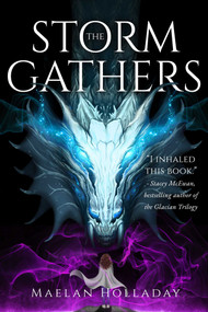 The Storm Gathers by Maelan Holladay, 9781958607046
