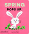 Spring Pops Up! by Aurore Petit, 9781837292097