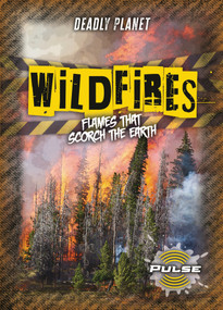 Wildfires (Flames That Scorch the Earth) by Alex Cohen, 9781918709476