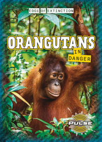 Orangutans in Danger by James Bailey, 9781918709551