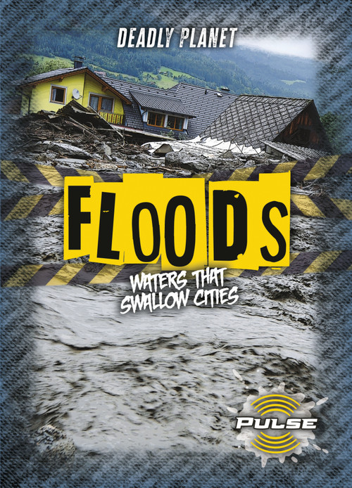 Floods (Waters That Swallow Cities) by Alex Cohen, 9781918709322