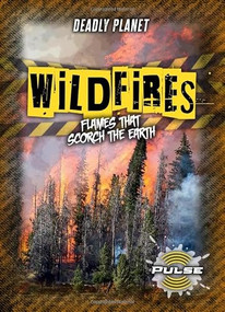Wildfires (Flames That Scorch the Earth) by Alex Cohen, 9781918709483