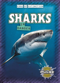 Sharks in Danger by James Bailey, 9781918709605