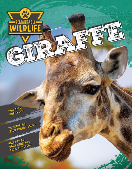 Giraffe by John Lesley, 9781761403064