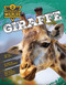 Giraffe by John Lesley, 9781761403064