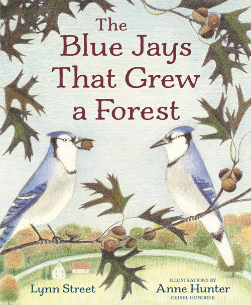 The Blue Jays That Grew a Forest by Lynn Street, Anne Hunter, 9781682639115