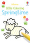 Little Coloring Springtime by Matthew Oldham, Jenny Addison, 9781835405093