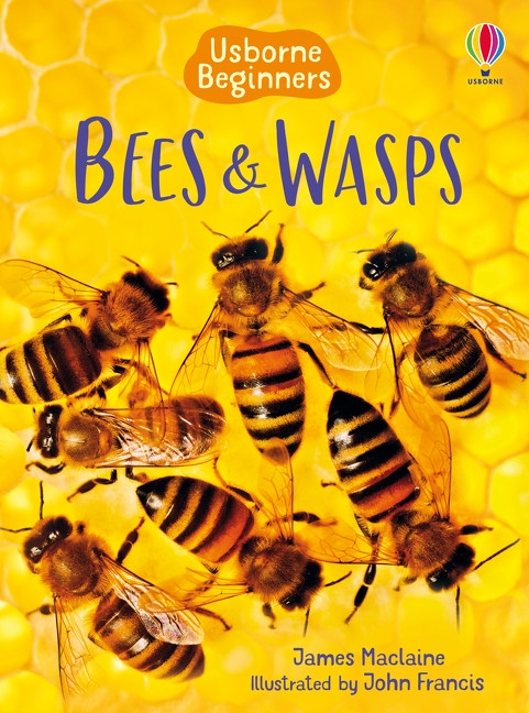 Bees and Wasps (Usborne Beginners) by James Maclaine, John Francis, John Francis, 9781835409770