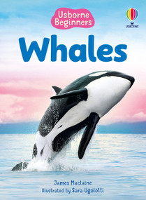 Whales (Usborne Beginners) by James Maclaine, Sara Ugolotti, 9781836052142