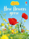 How Flowers Grow (Usborne Beginners) by Emma Helbrough, Maggie Silver, 9781836052371