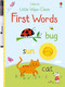 Little Wipe-Clean First Words by Felicity Brooks, Malu Lenzi, 9781836053415