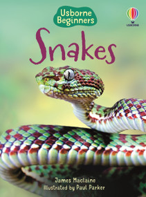 Snakes (Usborne Beginners) by James Maclaine, Paul Parker, 9781836052777