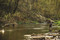 Driftless Area's Best Fly Fishing by John van Vliet, 9780811778244