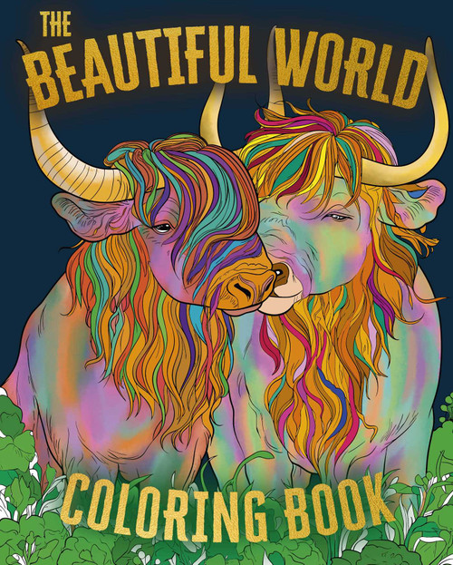 The Beautiful World Coloring Book by Willow, 9781398879874