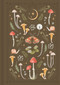 The Woodland Nightfall Notebook by Arcturus Publishing, 9781398880993