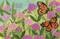What Can a Flower Be? by Kier Holmes, Lee Foster-Wilson, 9781423671206