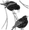 Birding with Theodore Roosevelt by Michael Patrick Cullinane, Michael J. Sacopulos, 9781493093038
